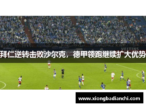 拜仁逆转击败沙尔克，德甲领跑继续扩大优势